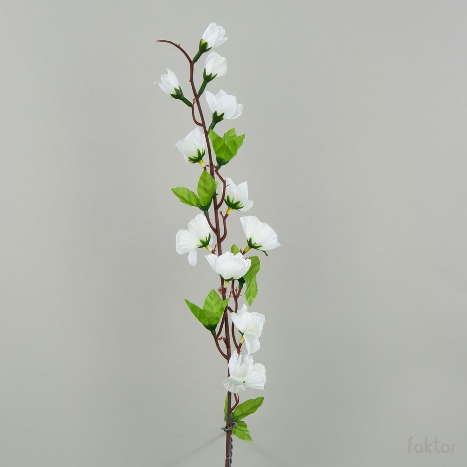 Jabłoń – gałązka (12 szt.), white K17-01