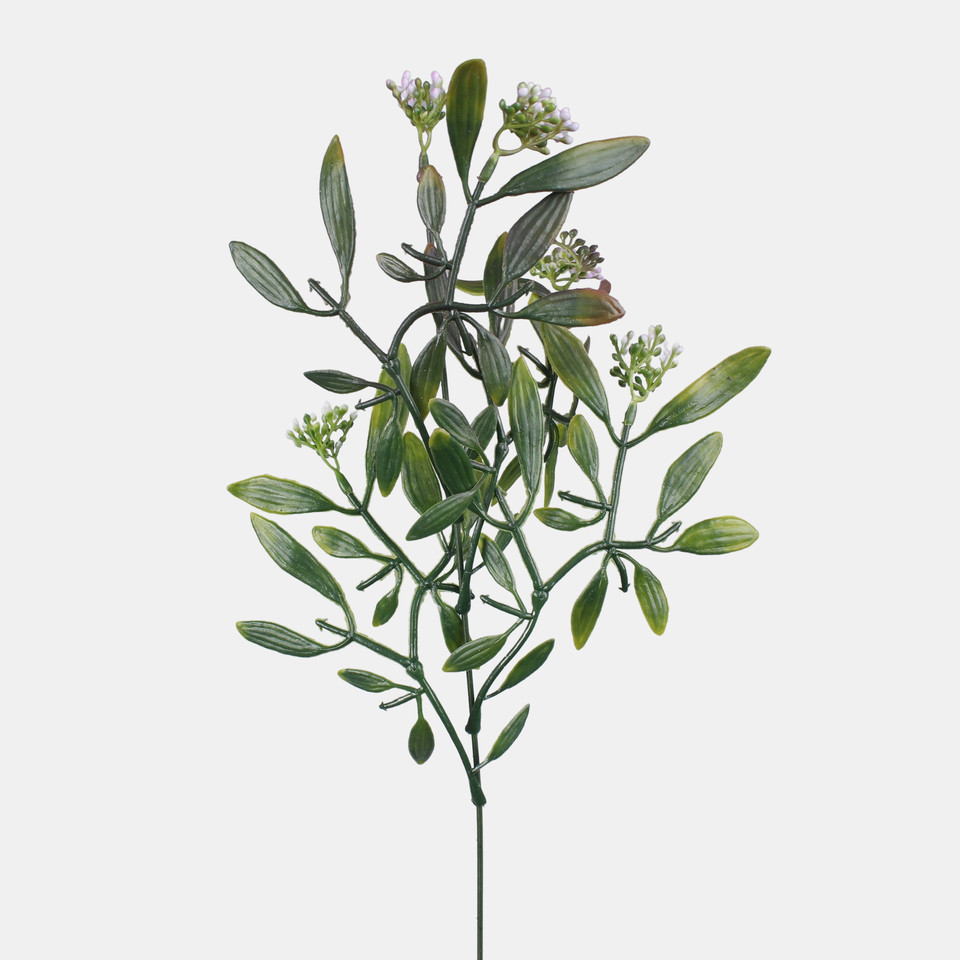 Mistletoe, Mix 1 A784-04