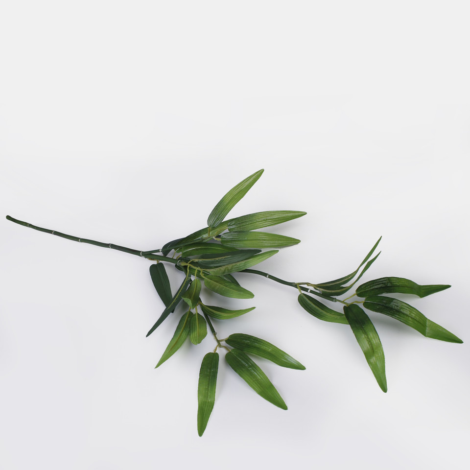 Bamboo, Green A661
