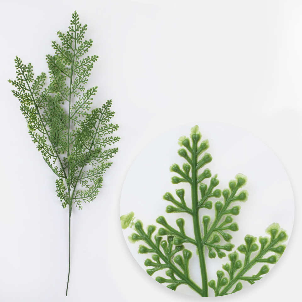 Fern, Green A733-01