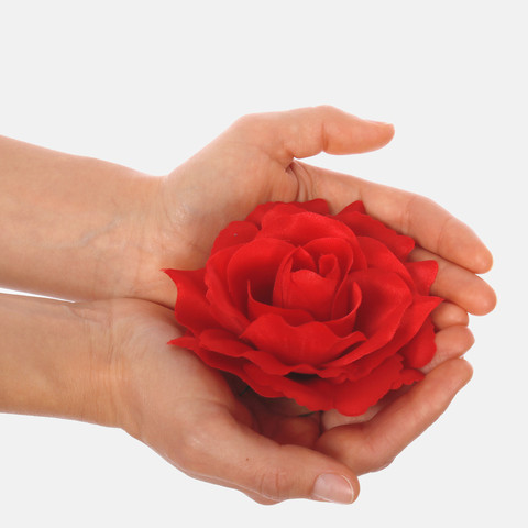 Rose W625 (Product size)