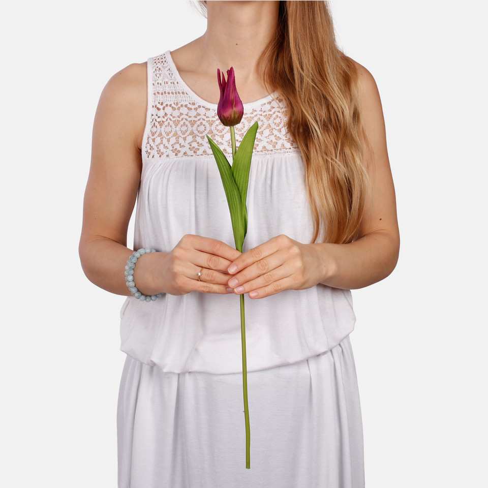 Tulip L851