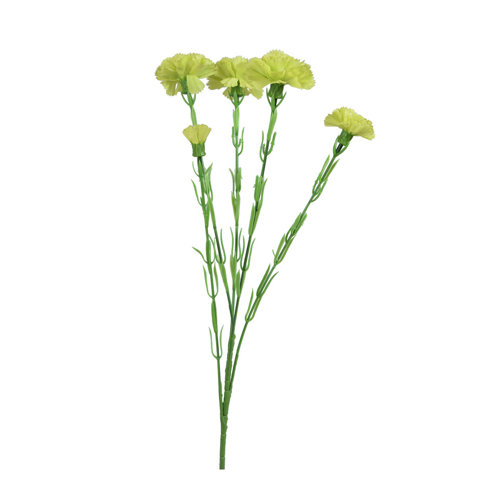 Goździk - gałązka 60 cm, m3 GK139-m3