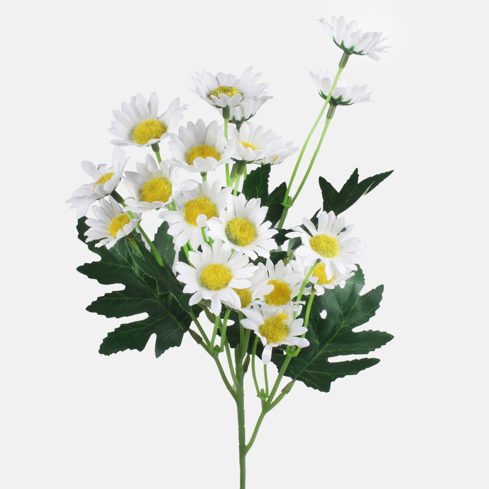 Margerytka, White G477-01