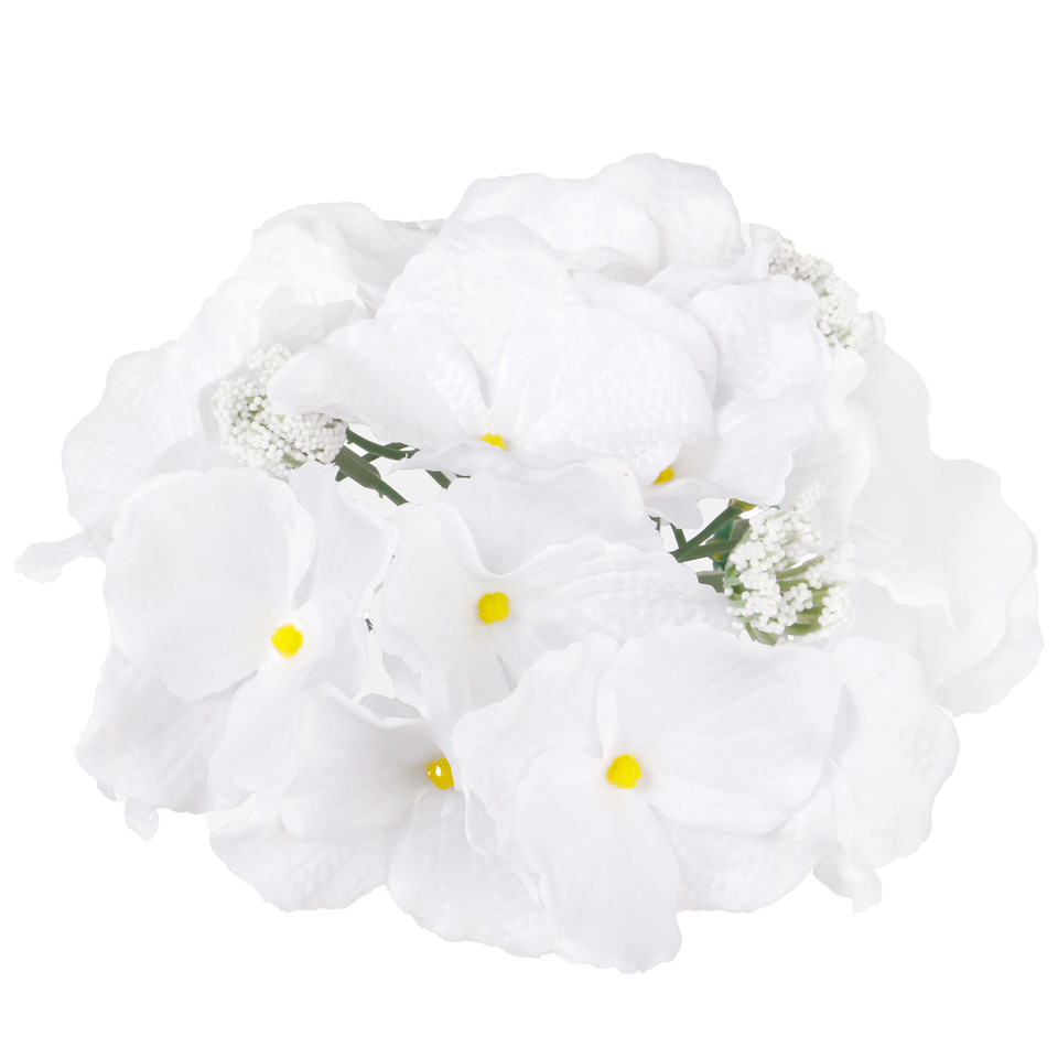 Hortensja satynowa, White W611-01