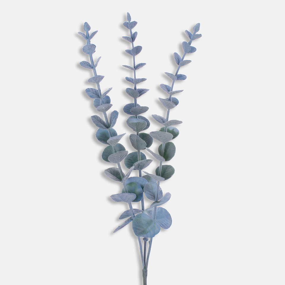 Eukaliptus, Blue/Green A666K-04