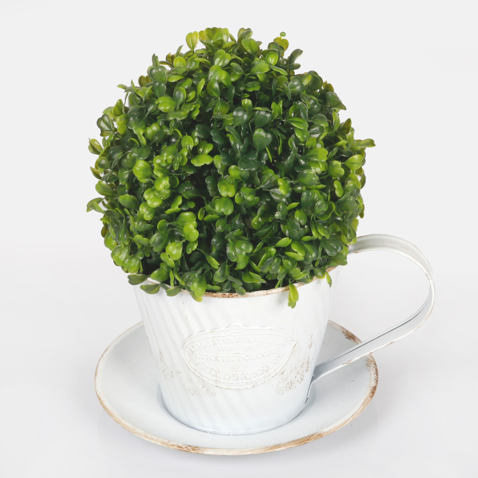 Bukszpan kula 18 cm, Green Z069
