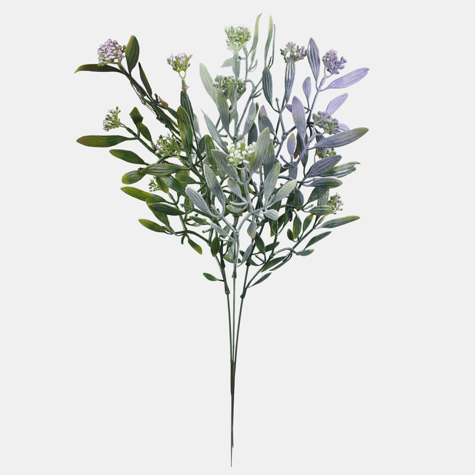 Mistletoe, Mix 1 A784-04