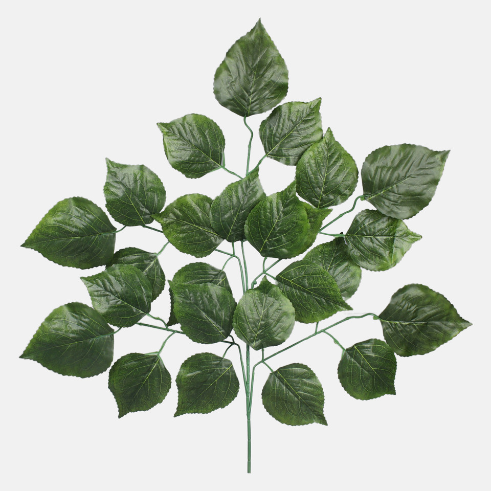 Mulberry, Green F179-01