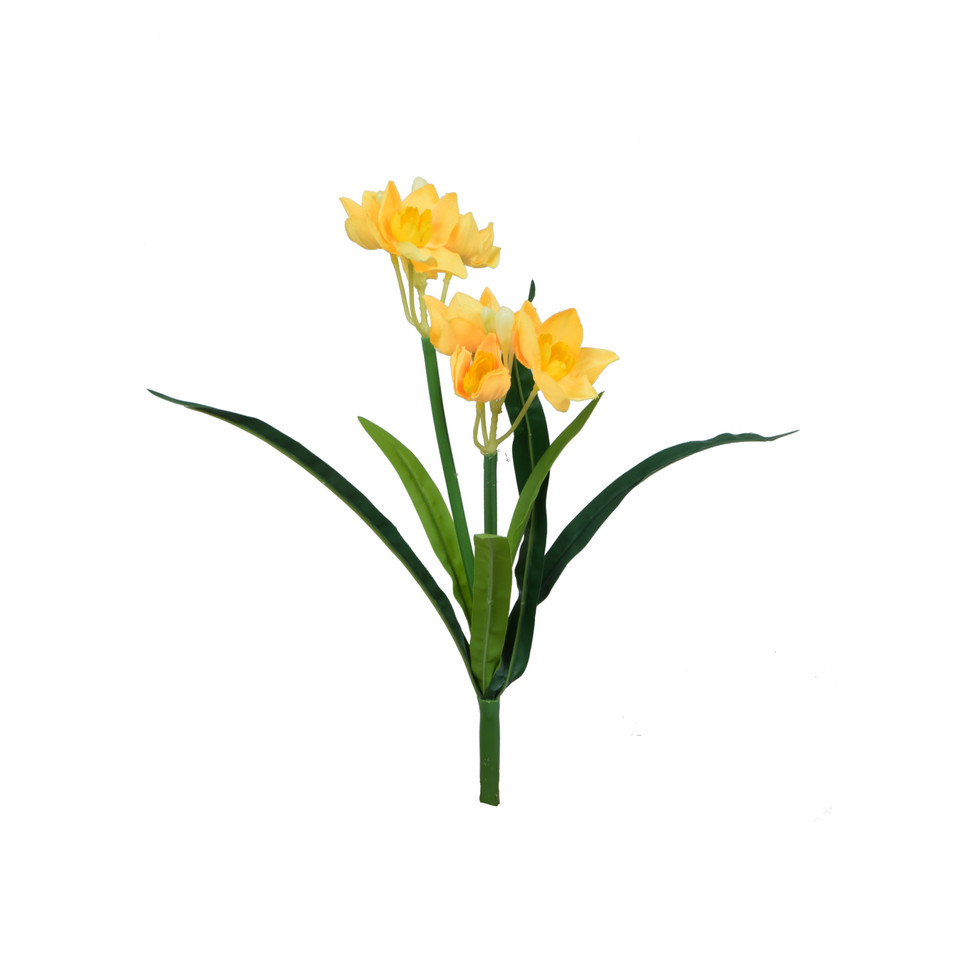 Żonkil - bukiet 36 cm, m U970E-m