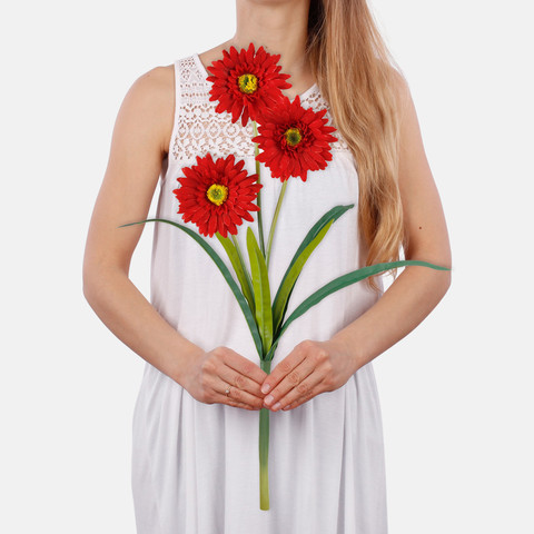Gerbera x 3 G448 (Wielkość artykułu)