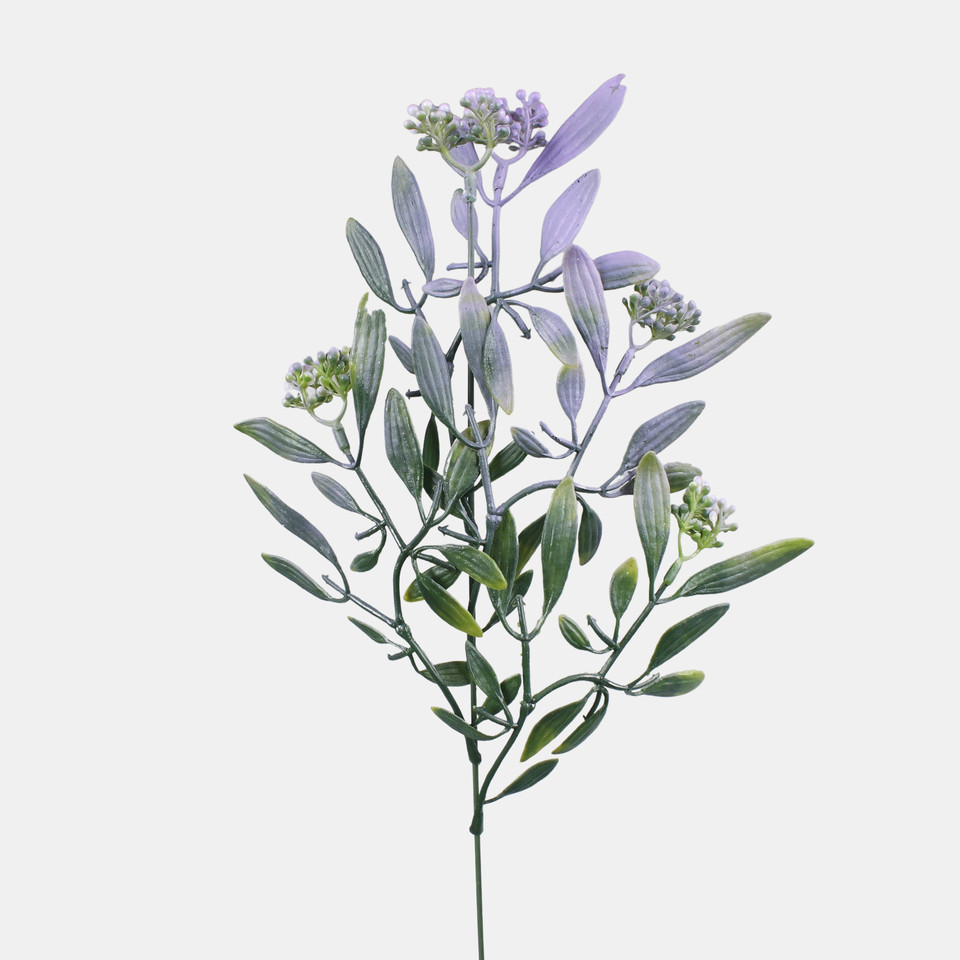 Mistletoe, Mix 1 A784-04