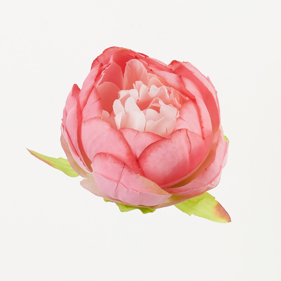 Peonia – główka, 211A B50-211A