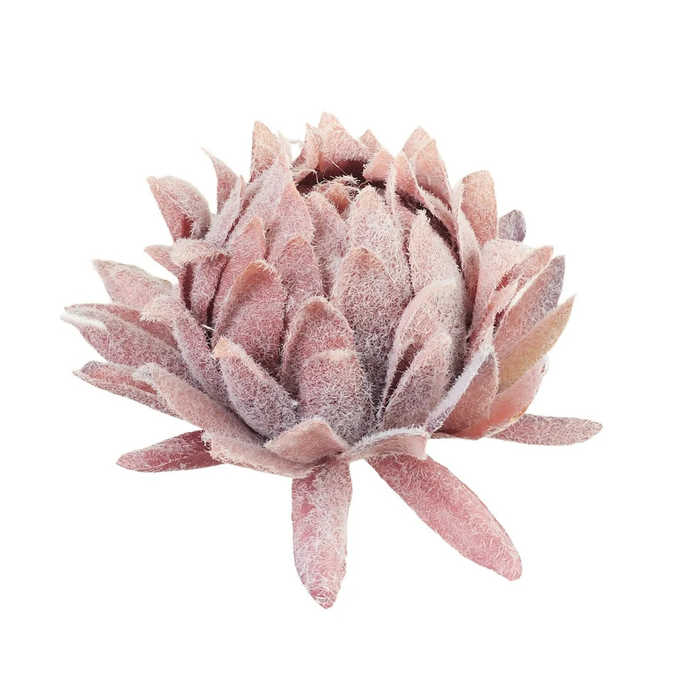 Karczoch, Pink B102-04