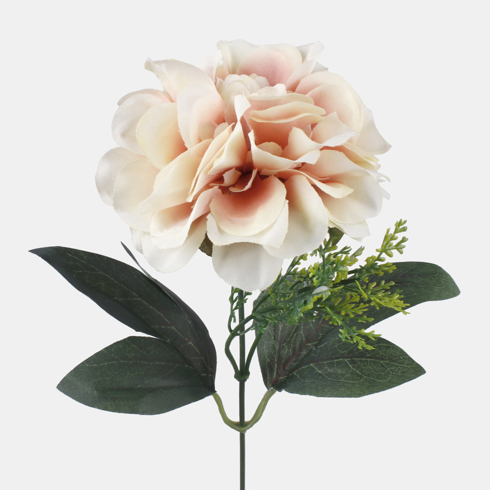 Dalia, Mauve/Cream G436-02