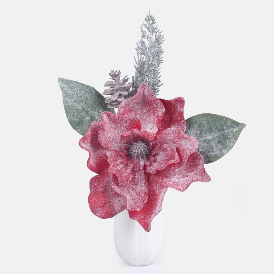 Magnolia oszroniona, Red S941-01