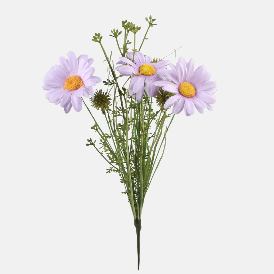 Stokrotka, Lt. Lilac A758K-03