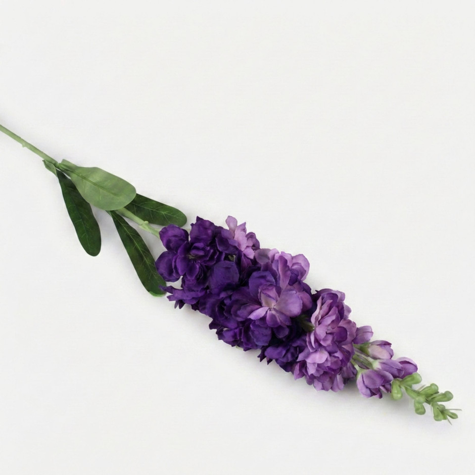 Delphinium, Dk. Violet L019-11