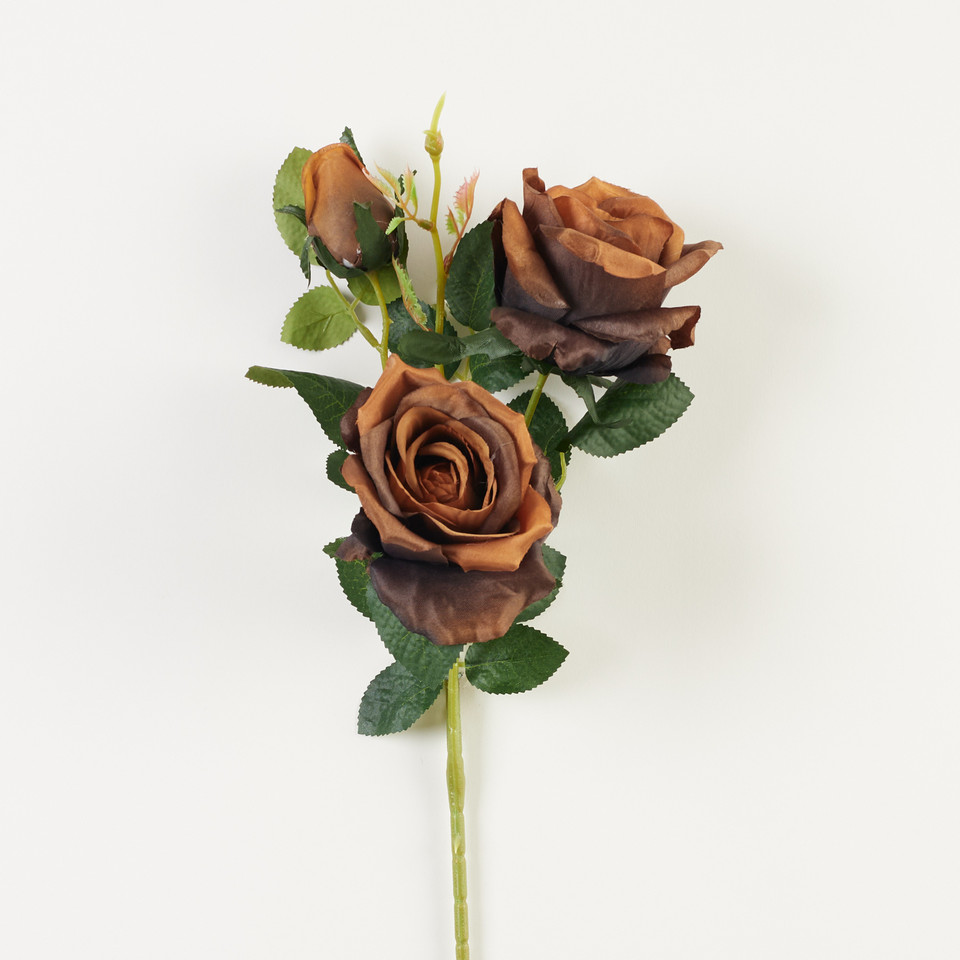 Róża – gałązka x3, black brown A28-092