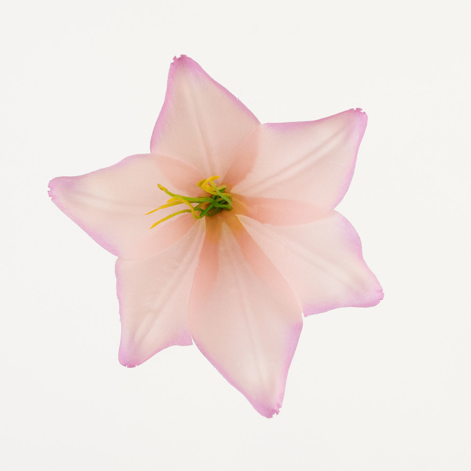Lilia – główka satyna, true pink B276-034