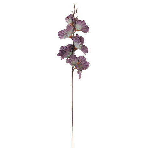 Gladiolus - twig, 03 mauve AL181-03