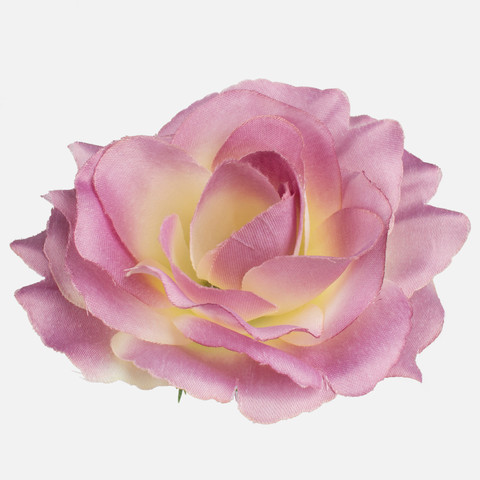 Rose, Mauve/Cream W625-16