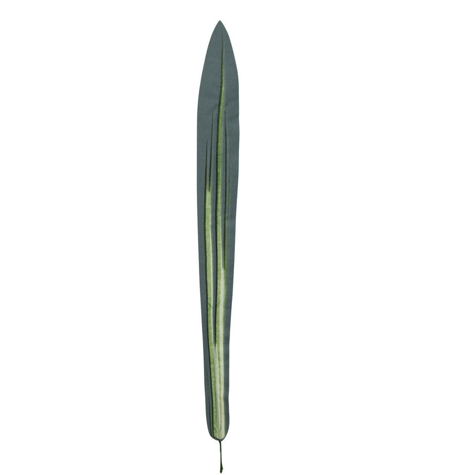 Dracena - liść 65 cm L606-00