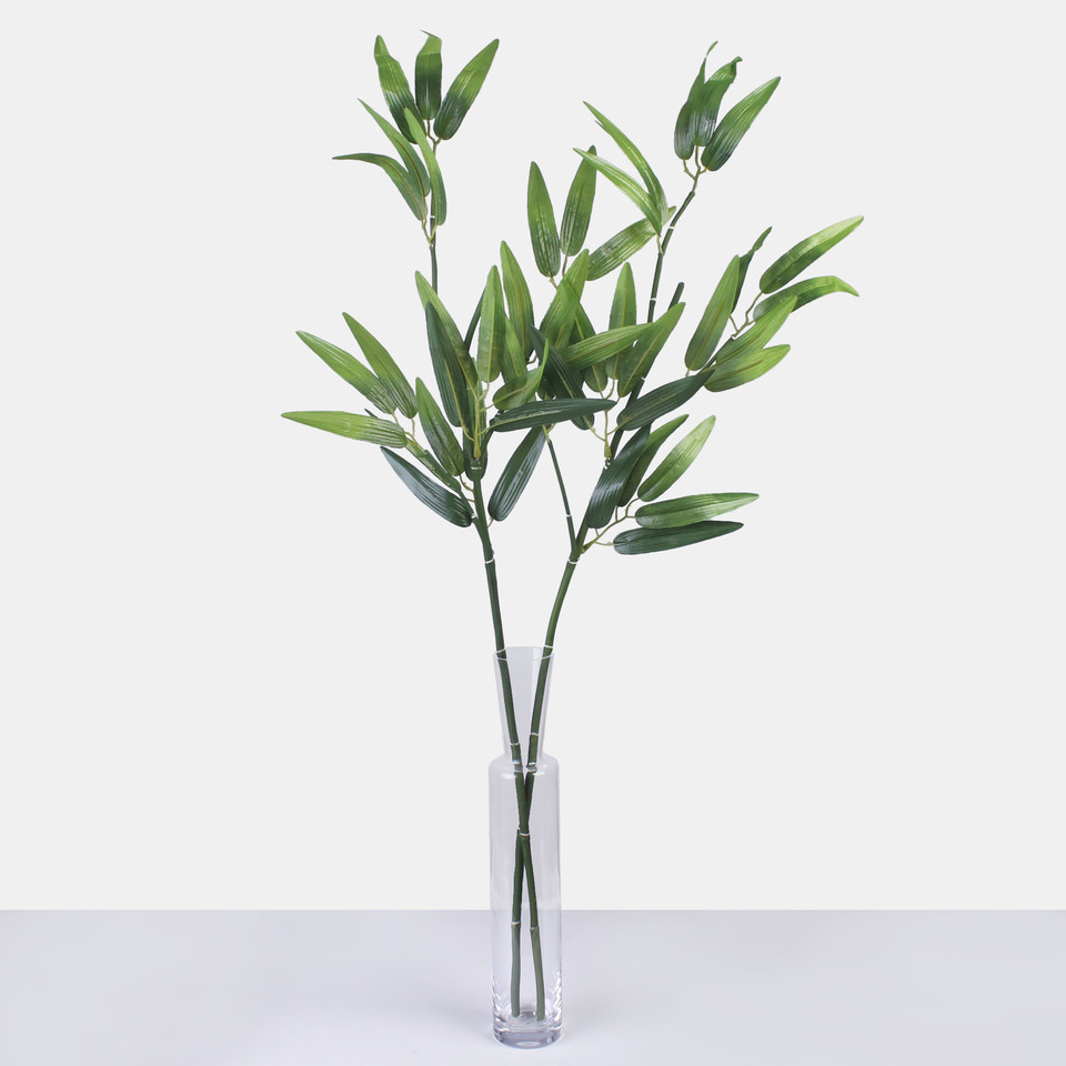 Bamboo, Green A661