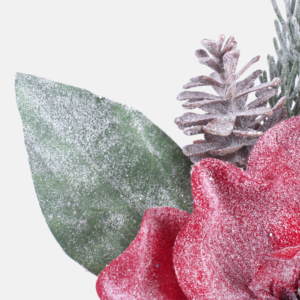 Magnolia oszroniona, Red S941-01