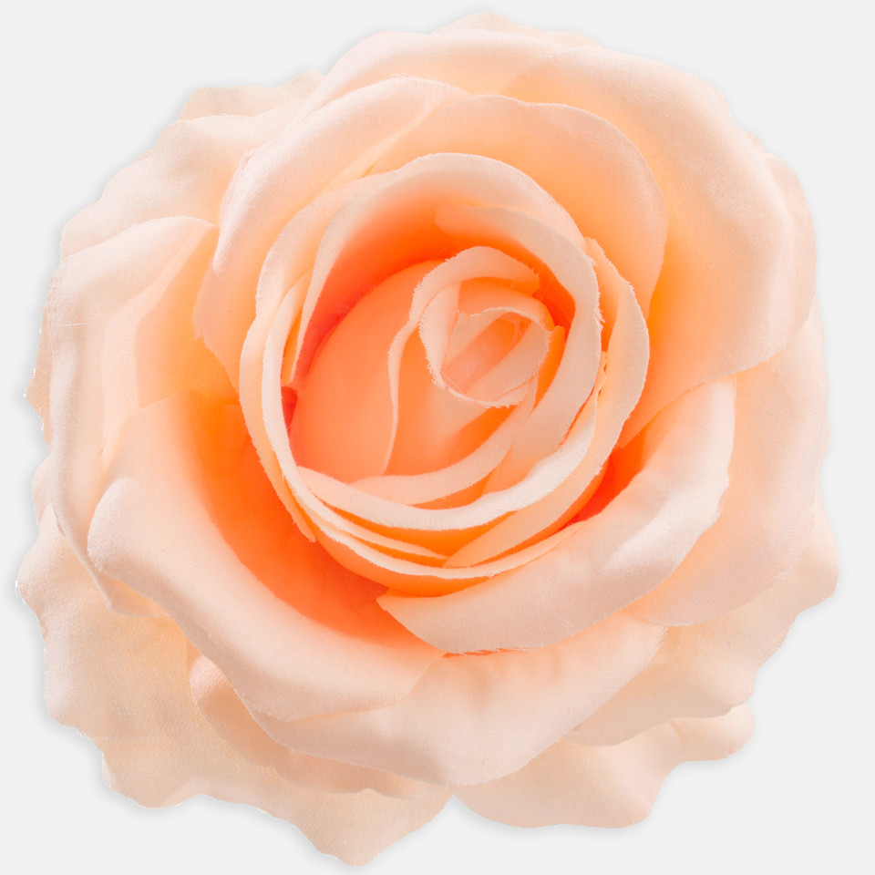 Rose, Peach W697-03