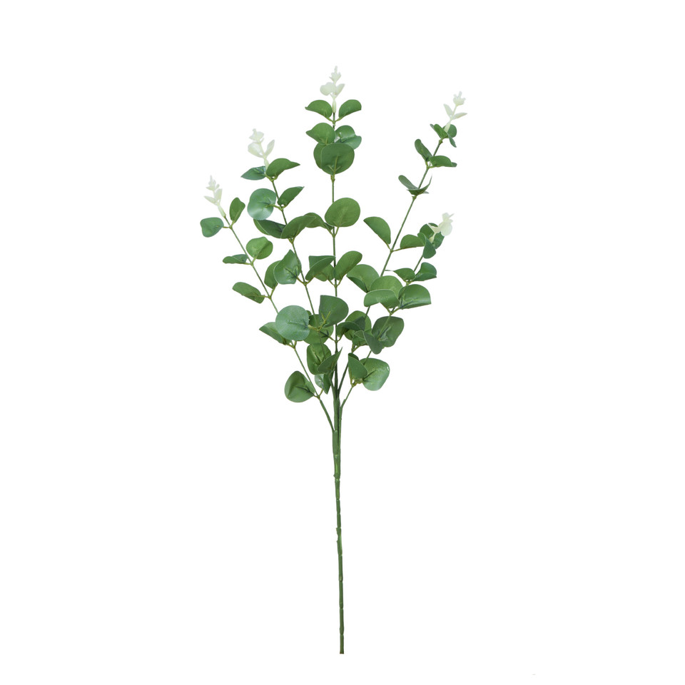 Eukaliptus - gałązka 62 cm, cream/green R667-00