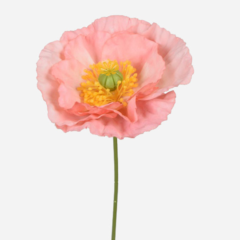 Poppy, Pink L919-02