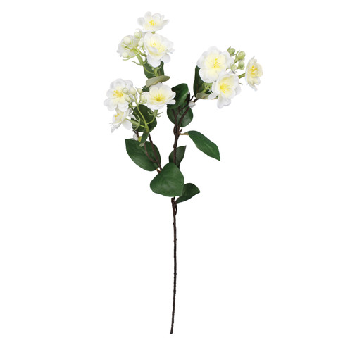 Jasmine, Lt. Yellow G479-02