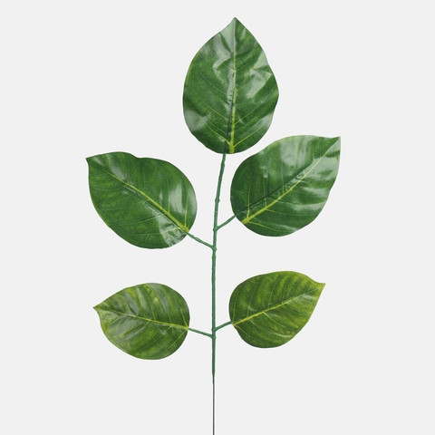 Linden F207