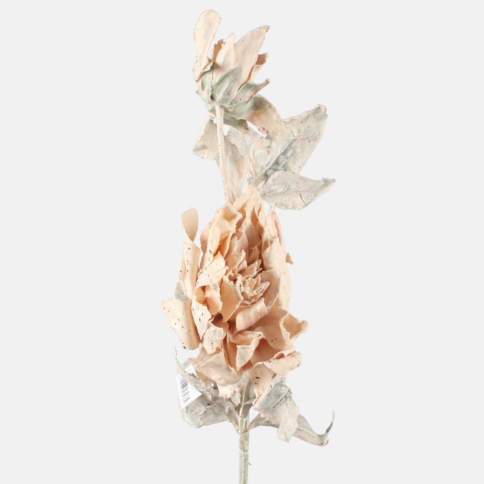 Dalia gałązka pojedyncza, Beige L864-01