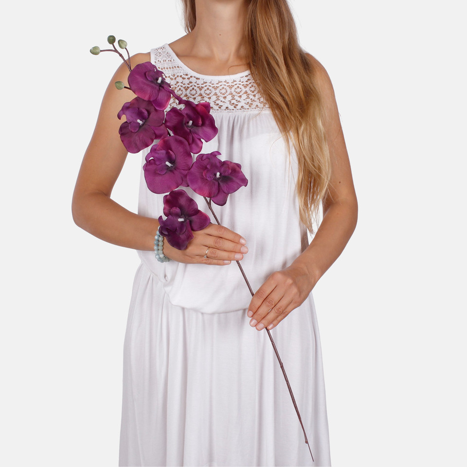 Satin orchid L728