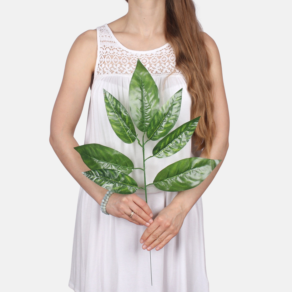 Nut F217