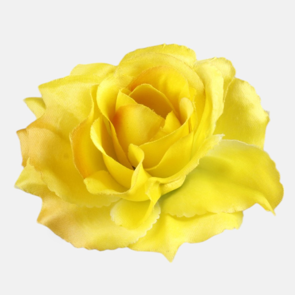 Róża Sonia, Yellow W625-18