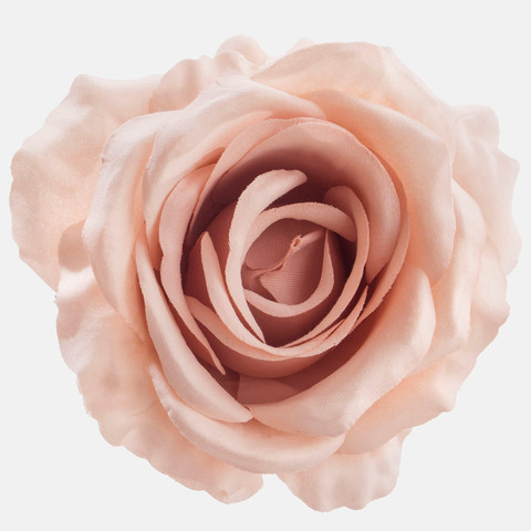 Rose, T.T. Beige W697-24