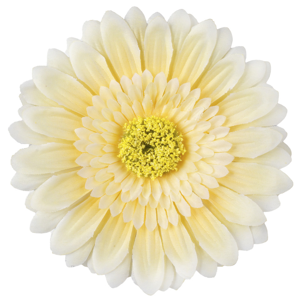 Gerbera XXL, Yellow W298-16