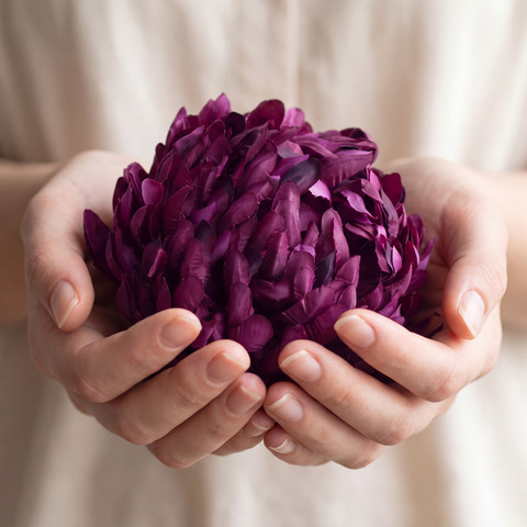 Chrysanthemum head W021 (Product size)