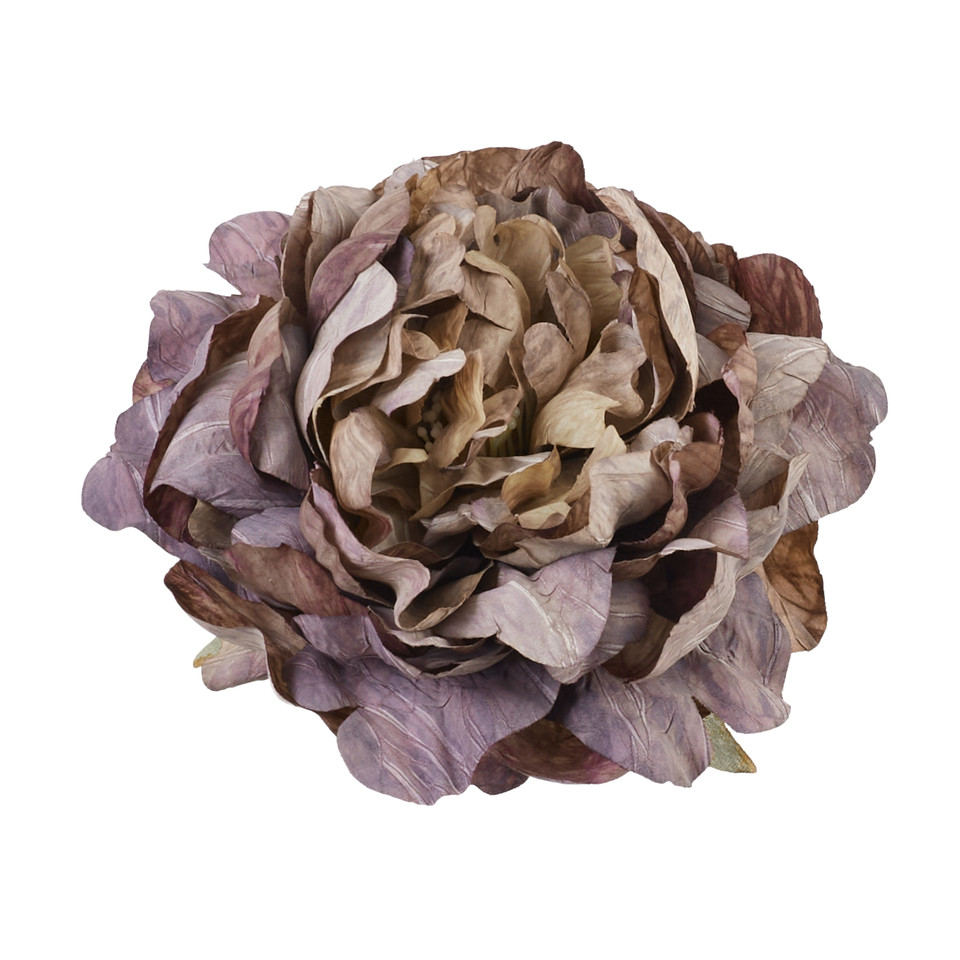 Peonia, 13 violet B135-13