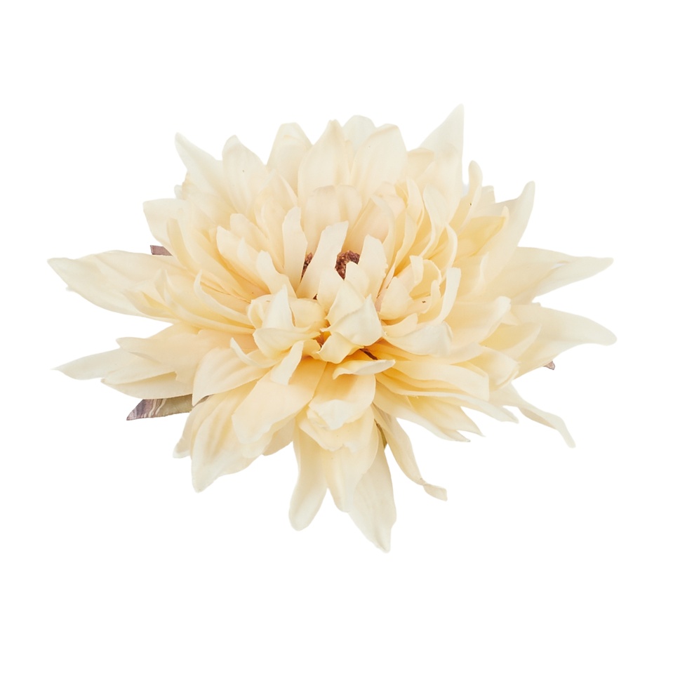 Dahlia, 02 cream B145-02