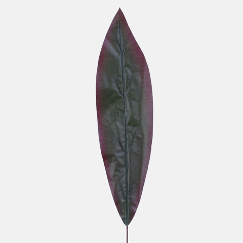 Dracaena leaf, Red H009C-02