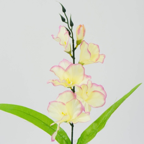 Mieczyk – gałązka, lt.yellow/pink edge W181-02