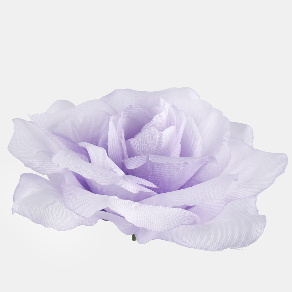 Róża francuska, T.T. Lilac W087-01