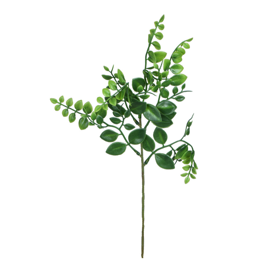 Borówka, Green DK057-00