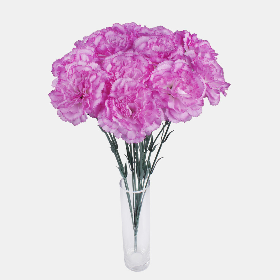 Carnation, White /Lilac Edge G392-04