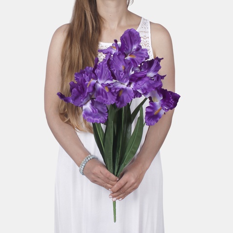 Iris x 7 Q453 (Product size)