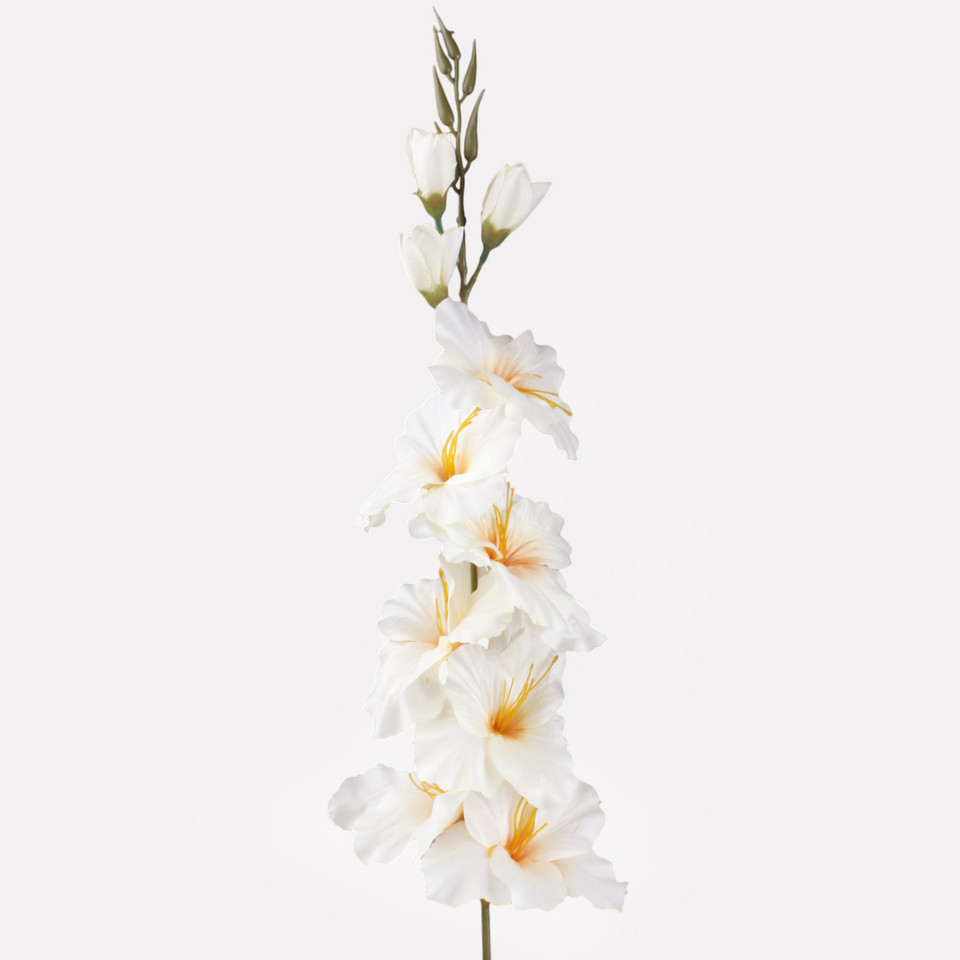 Mieczyk satynowy, Autumn Cream L190A-18